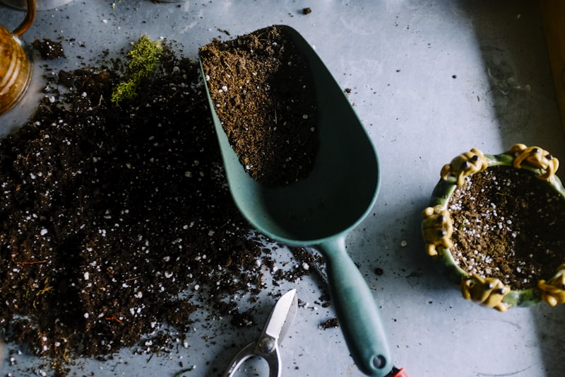 Growing cannabis at home in Alaska — indoor cultivation